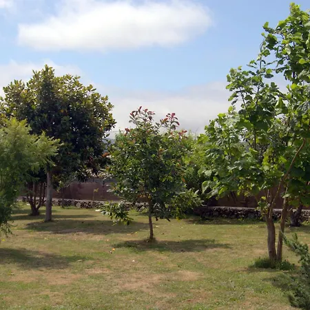 בית נופש Valda מוחיה